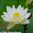@수연-i2w9c