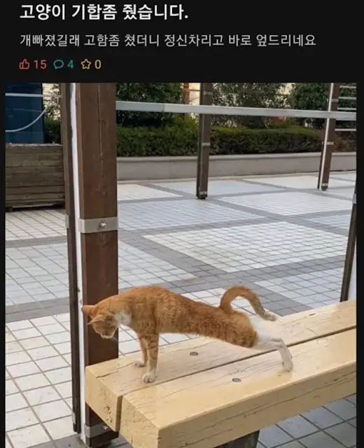BlockNote image