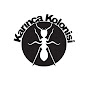 Karıncakolonisi15 logo