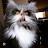 @OnlyMe6478's avatar