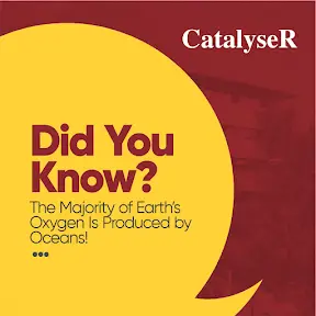 CatalyseR YouTube channel