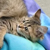 るーちゃん日記