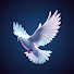 AEYPXasz8ew-channel-avatar-KRISTIANI TV 