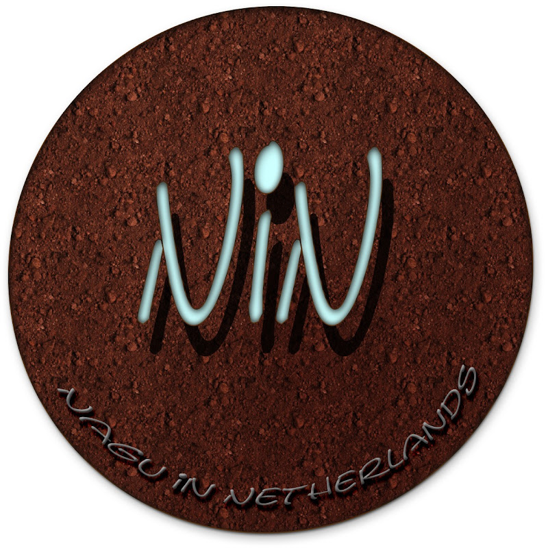 NiN