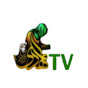 Mahdi Tv logo