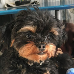 が・え・で・ずん【愛媛の風景】