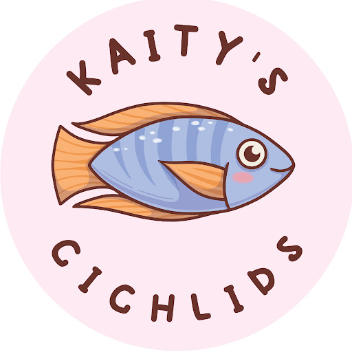 Kaity's Cichlids