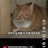 @따스한_위로