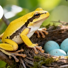 Past & Future & Innovation