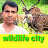 @wildlifecity