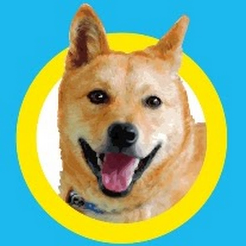 ピースワンコテレビ　PeaceWankoTVのサムネイル