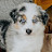 @fropdrimmer's avatar