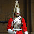 tPpkmP2anoE-channel-avatar-Royal Guard Chronicles