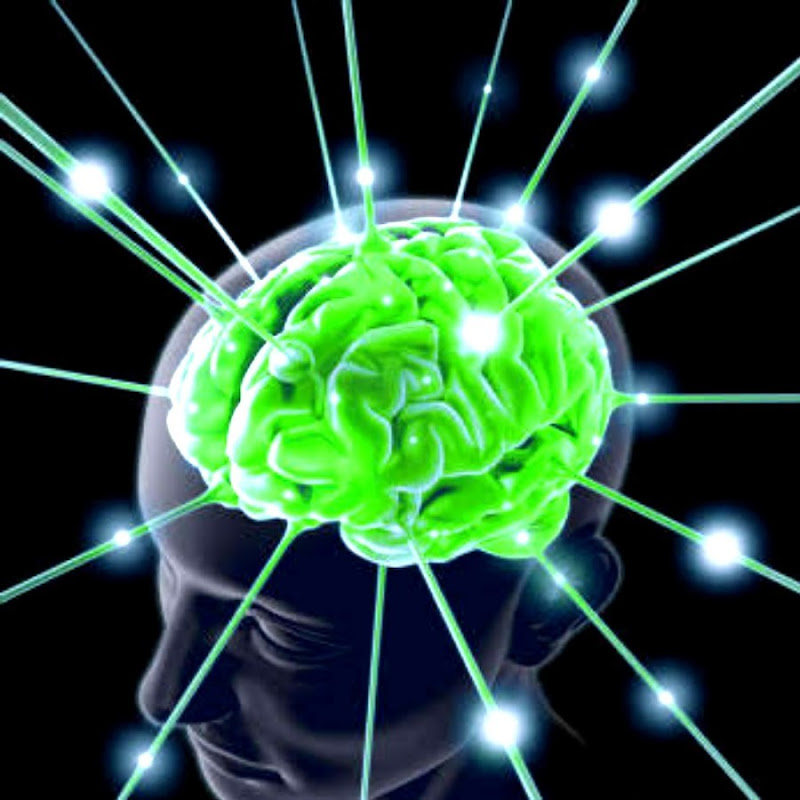 Knowledge TV
