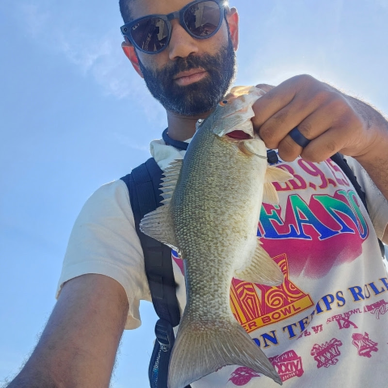 FishxScale