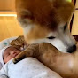 誰よりも犬猫だい好き