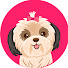 ztM1jiIJPXE-channel-avatar-Shih Tzu Care