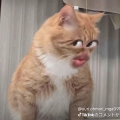 @炊けこみご飯大好きな人