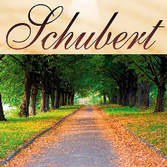 The Royal Schubert Orchestra