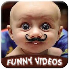 funny videos 5k 