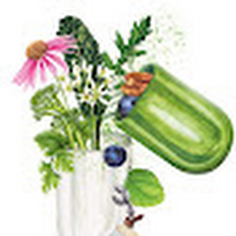 Hire Hayate.jadida — Philosophy & Critical Thinking YouTube creator for sponsorships