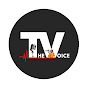 TheVoice logo