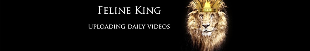 Feline King YouTube channel avatar
