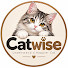 UTa_Mo2n7nU-channel-avatar-Catwise