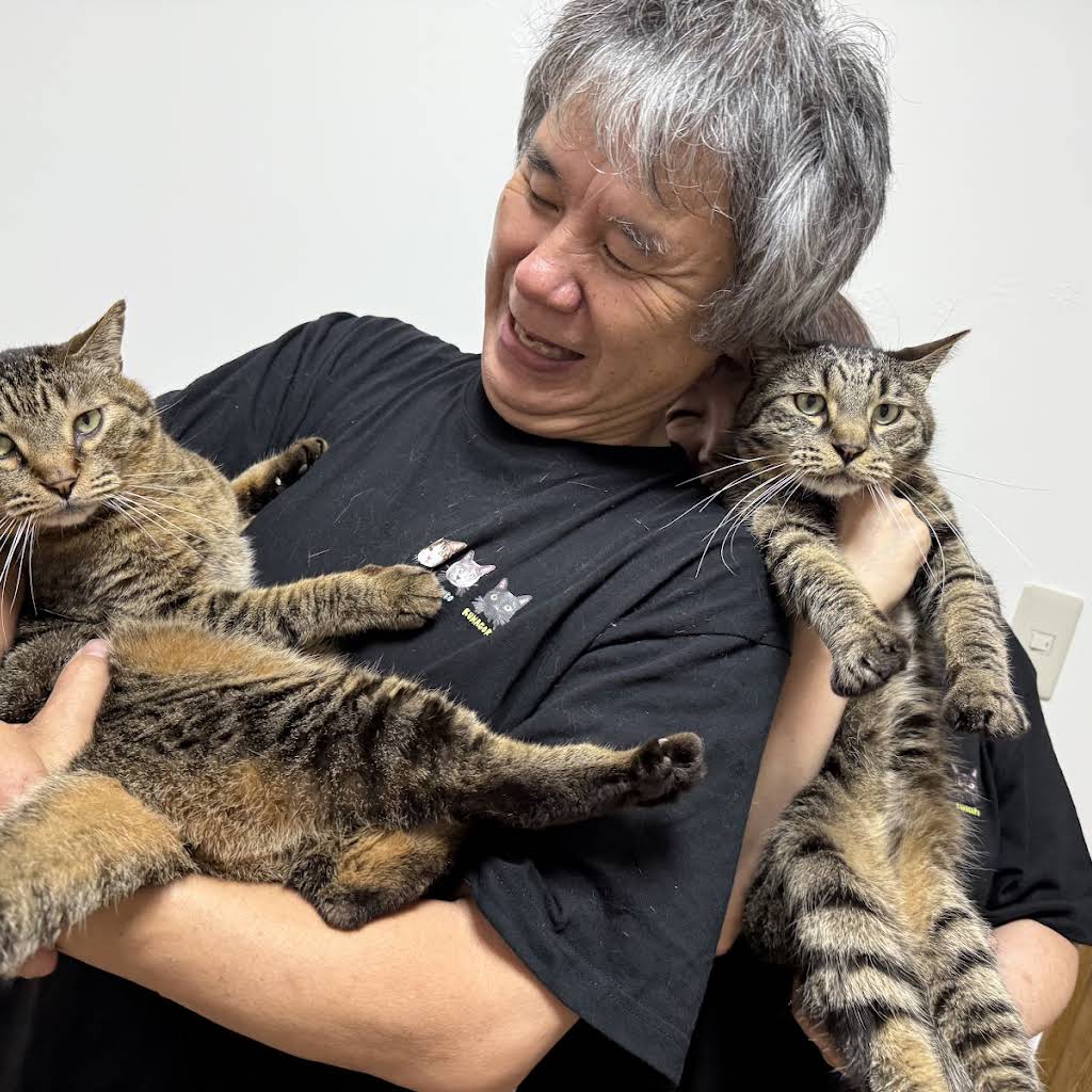 ねこまるけ / Full of cats - YouTube