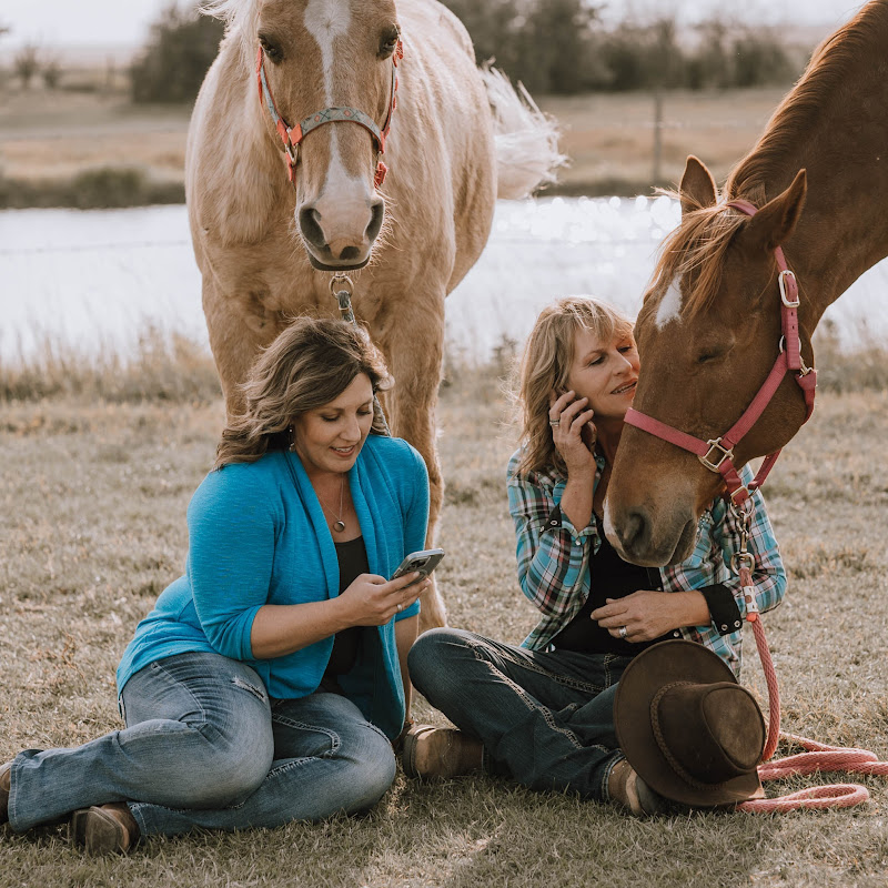 Equine Connection: Equine Assisted Learning Course