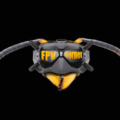 Логотип каналу FPV-Hornet