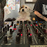 EnqwO2yLQtk-channel-avatar-ÁREA 1808