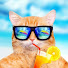 nwEop7Zt19g-channel-avatar-MeMeCat快樂坊