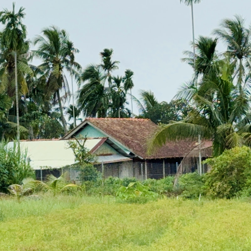 Vũ Lang Thang