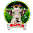 TqRy1TYxxQ4-channel-avatar-Boka Music