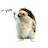 @steve12.