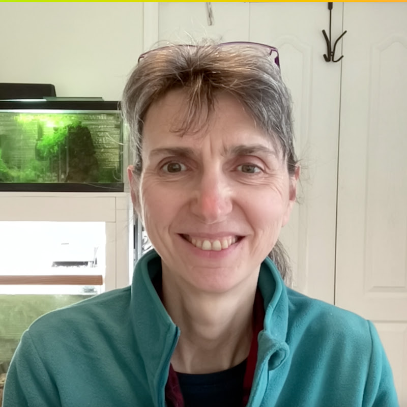 Dogs Explained (Donna Hill)