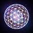 VekDTrqwfI4-channel-avatar-holofractal