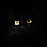 lZztdOUa-Jw-channel-avatar-World of cats