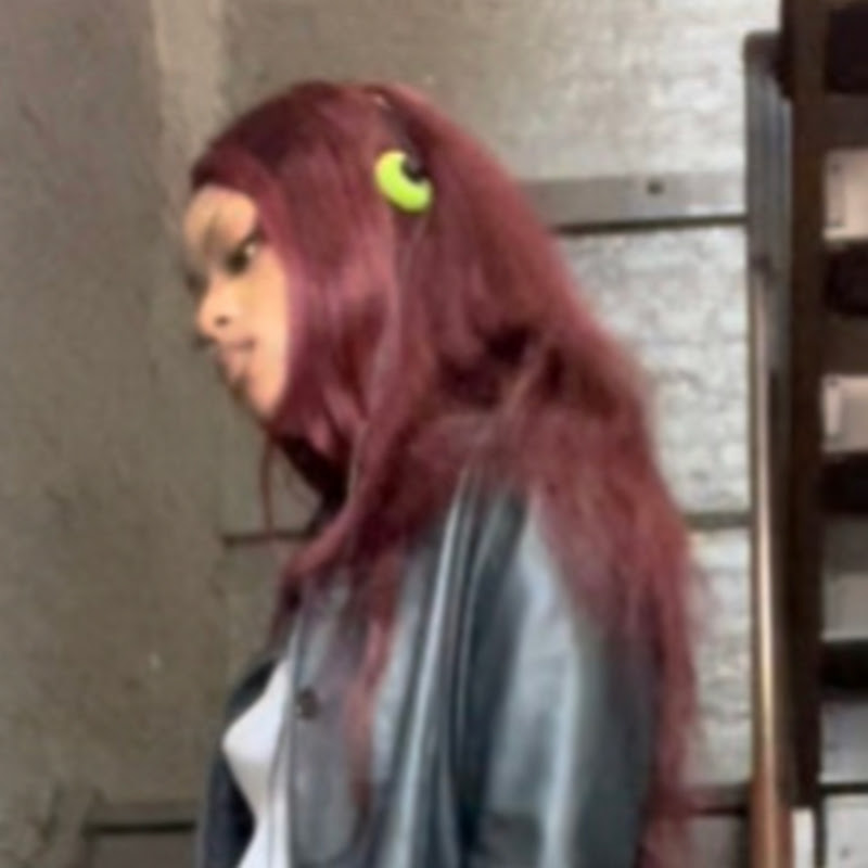 Rian Phin icon