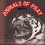 Animals Of Pray☨