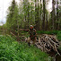 aSfVzU-3F4I-channel-avatar-Rohelisem Elu
