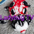 yUD4Soxz_5Q-channel-avatar-Ladybug TV: Rollercoaster videos
