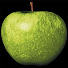 w3gq0zsaktY-channel-avatar-APPLEPITZ