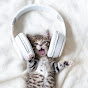 Cat's Music Corner Avatar