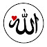 cQkQdemAJqA-channel-avatar-Quran Dost