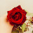 @تركيالخليل-ج9ه