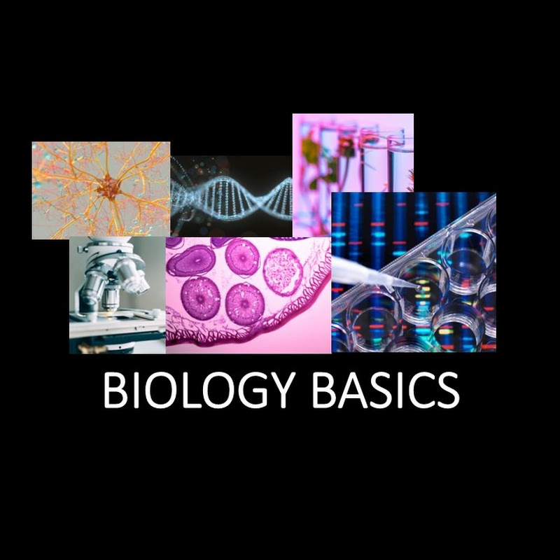 Biology Basics-CJ