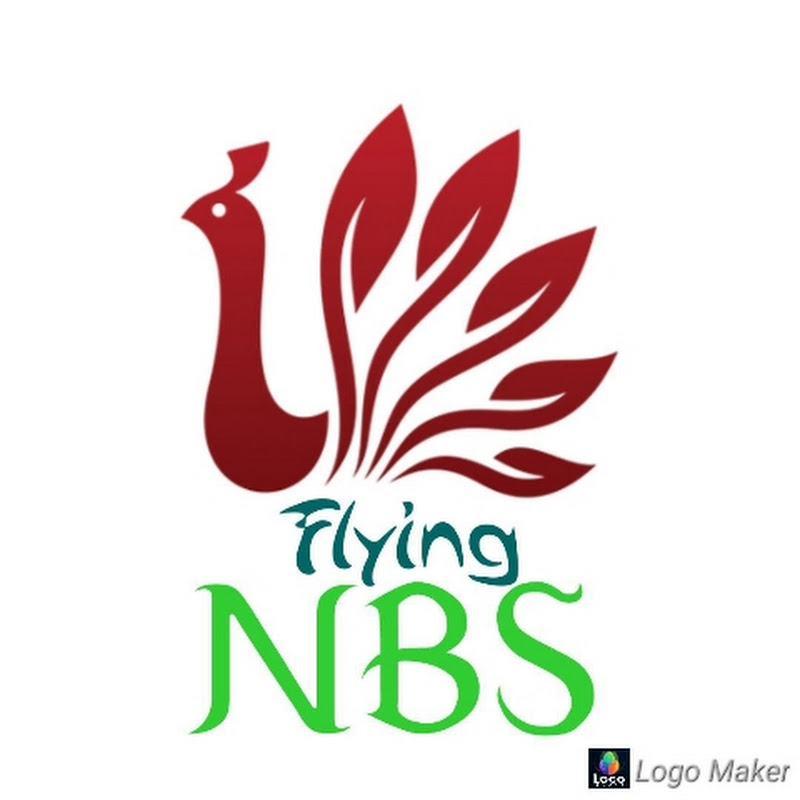 Flying NBS