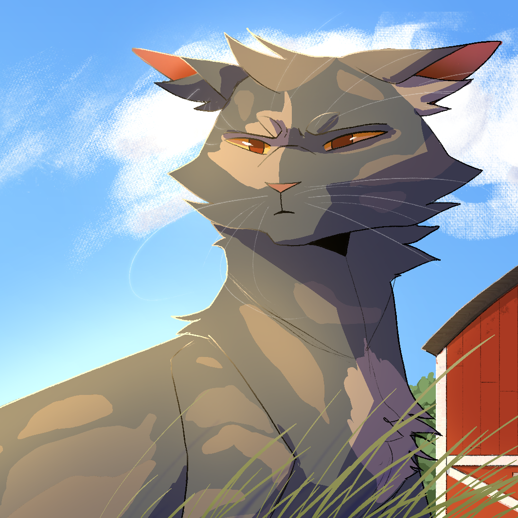 Post from mellowbear